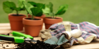 Prontuario per apprendisti giardinieri 14 0 In giardino